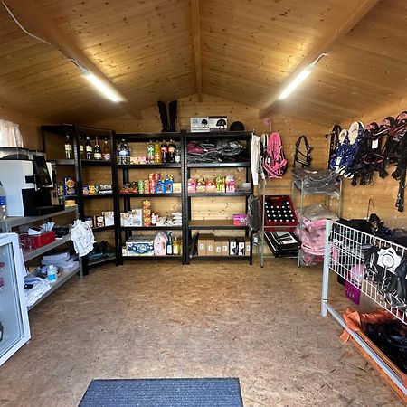 Fewo Im Reit- Und Ponyparadies Roos Halle (Holzminden) Exterior foto