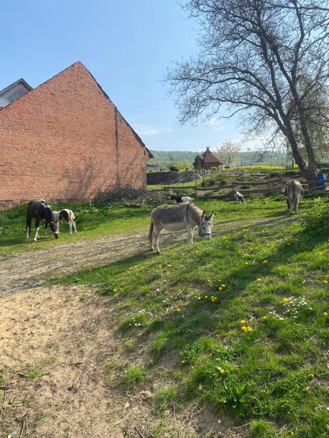 Fewo Im Reit- Und Ponyparadies Roos Halle (Holzminden) Exterior foto