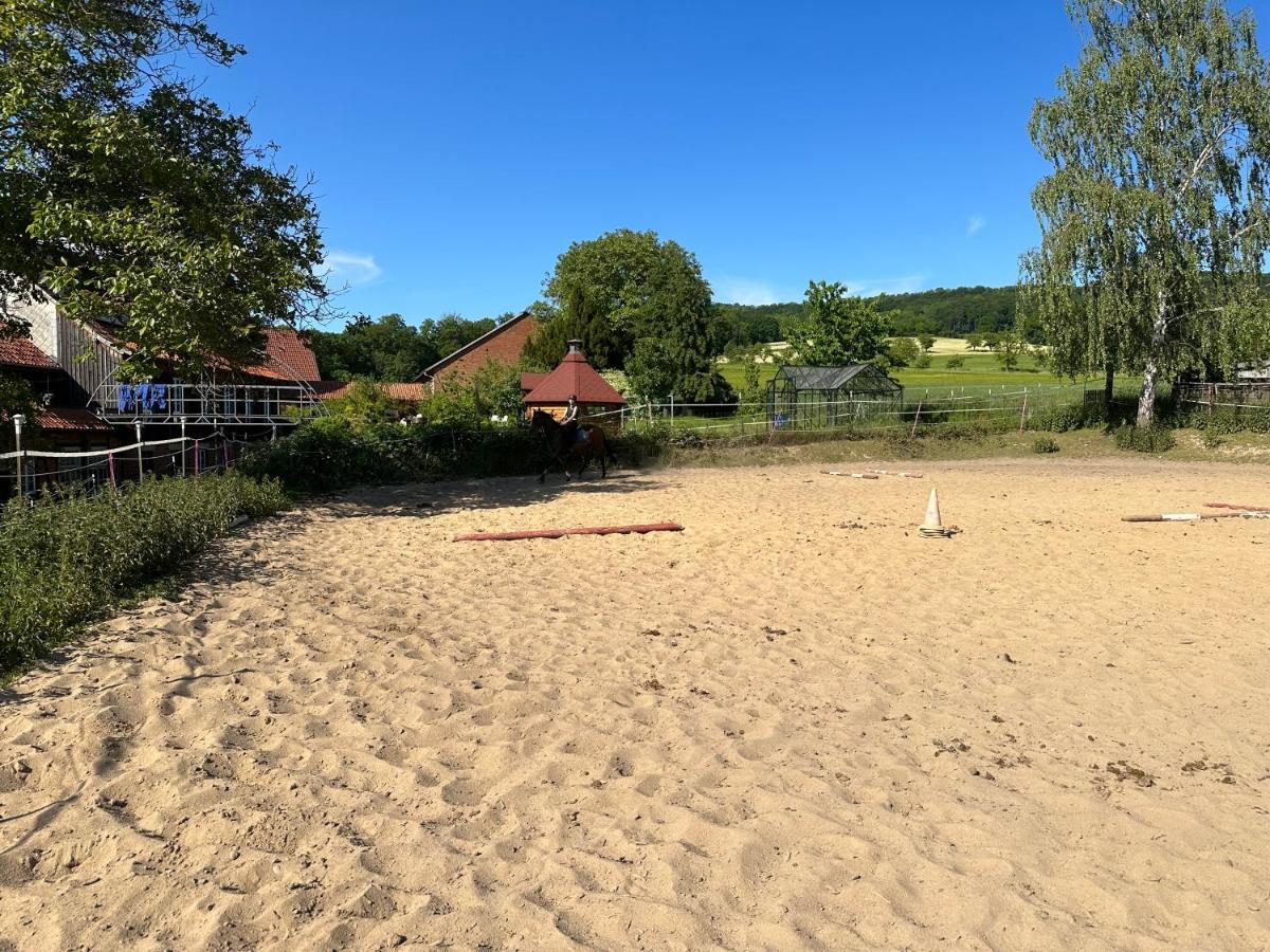 Fewo Im Reit- Und Ponyparadies Roos Halle (Holzminden) Exterior foto