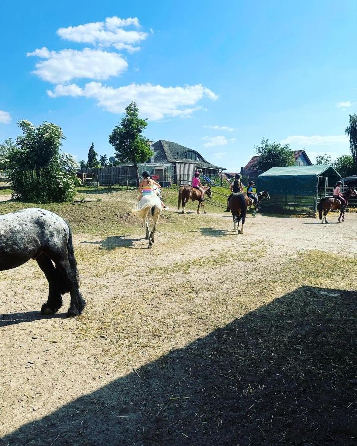 Fewo Im Reit- Und Ponyparadies Roos Halle (Holzminden) Exterior foto