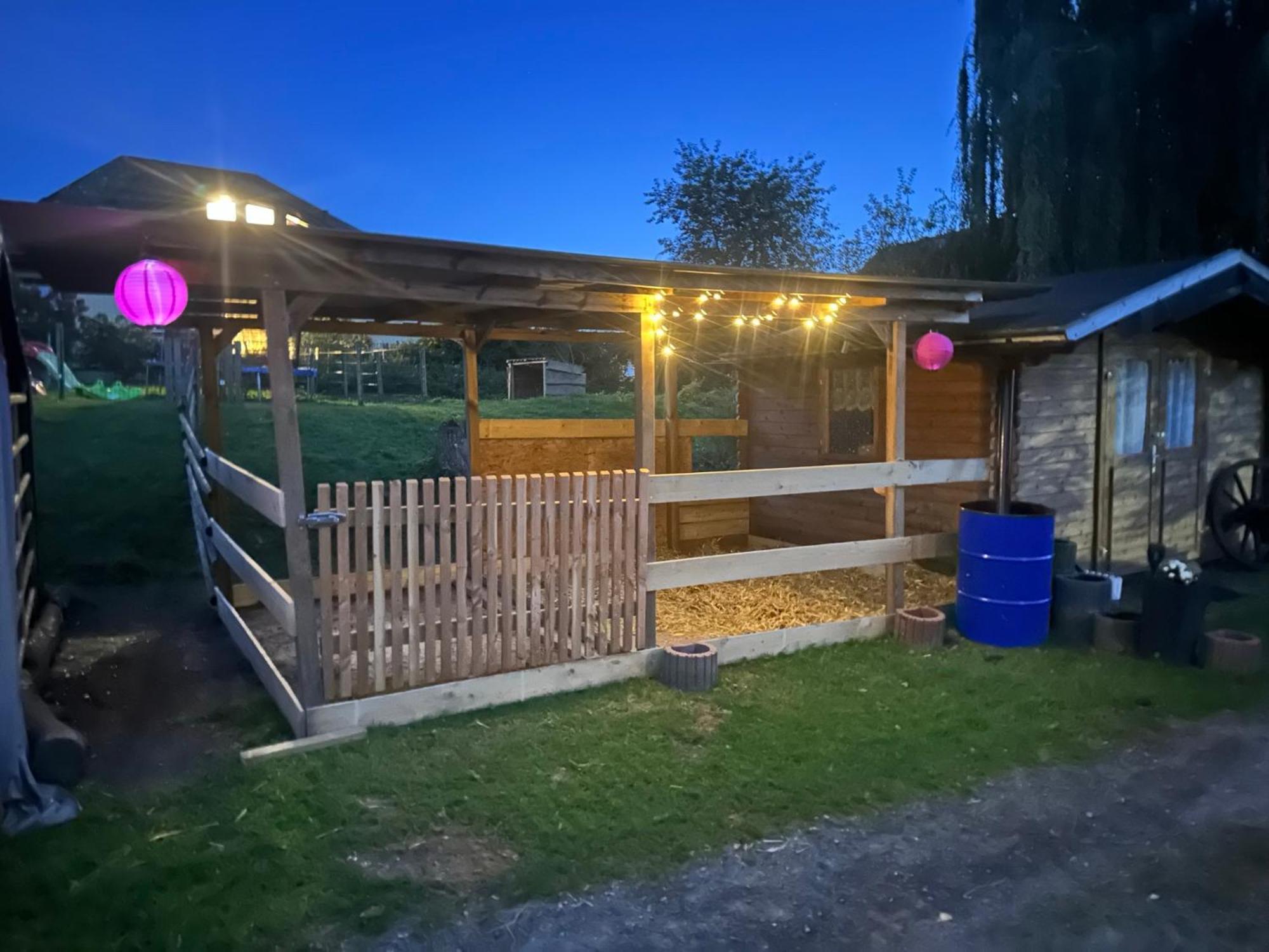 Fewo Im Reit- Und Ponyparadies Roos Halle (Holzminden) Exterior foto