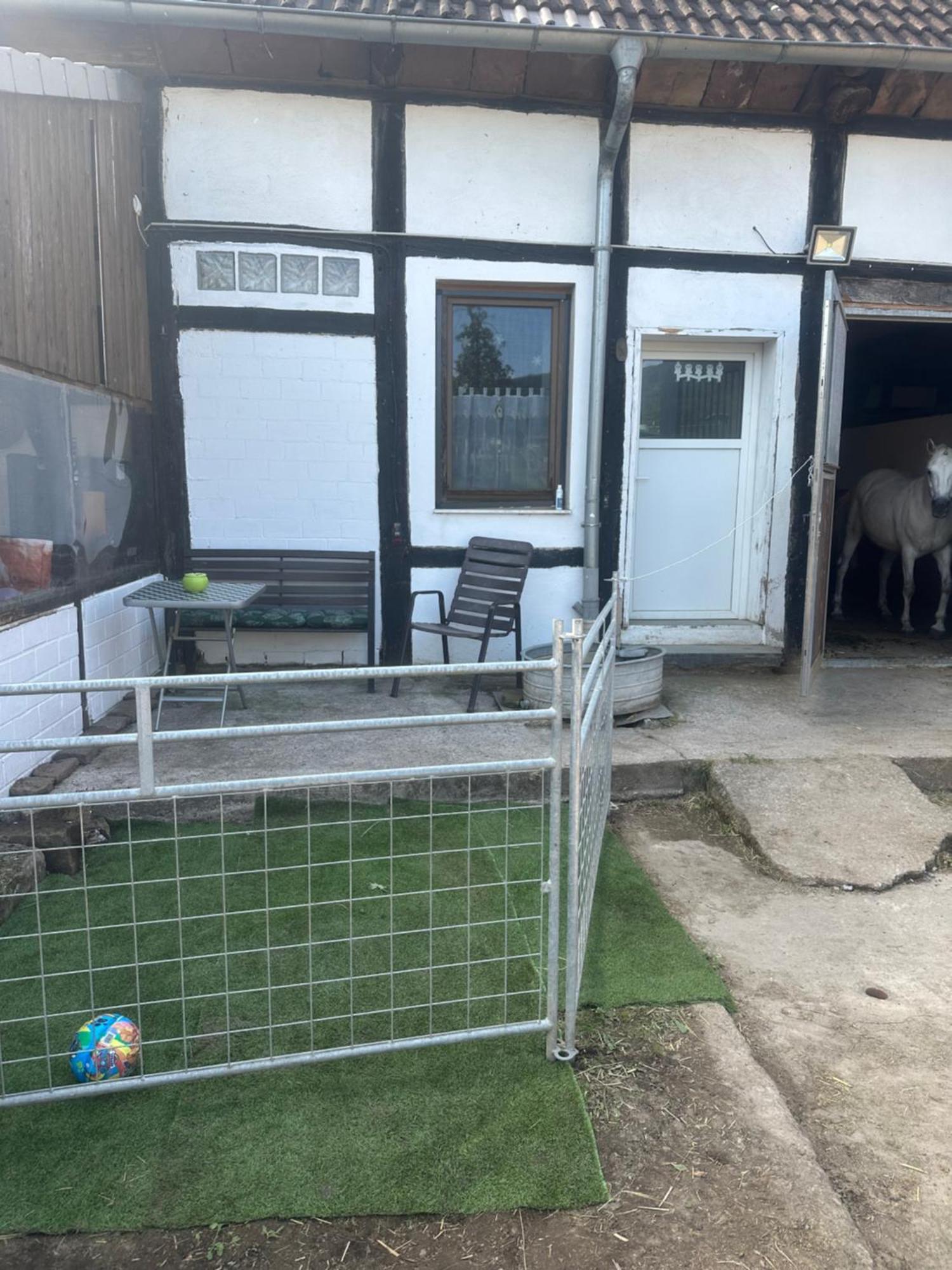 Fewo Im Reit- Und Ponyparadies Roos Halle (Holzminden) Exterior foto